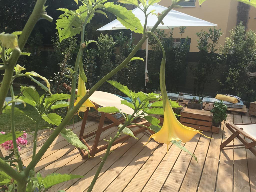 Arzilla Appartement *